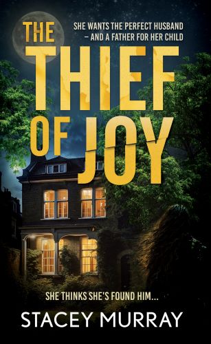 The Thief of Joy #StaceyMurray #TheThiefOfJoy